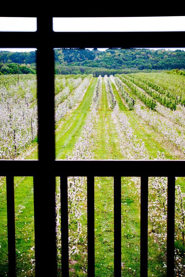Agroturystyka Pod Jablonia Kazimierz Dolny Exteriér fotografie